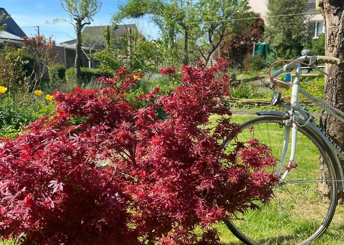 Atipyk'ododo Saint-James