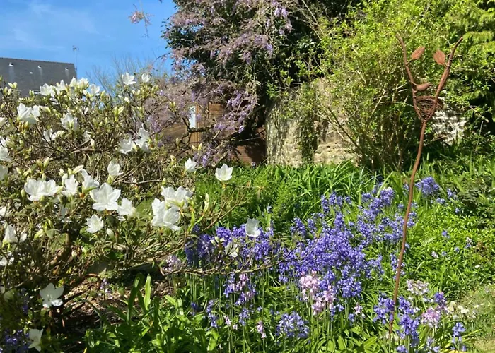 Bed & Breakfast Atipyk'ododo 3*