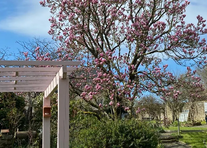 Atipyk'ododo Saint-James